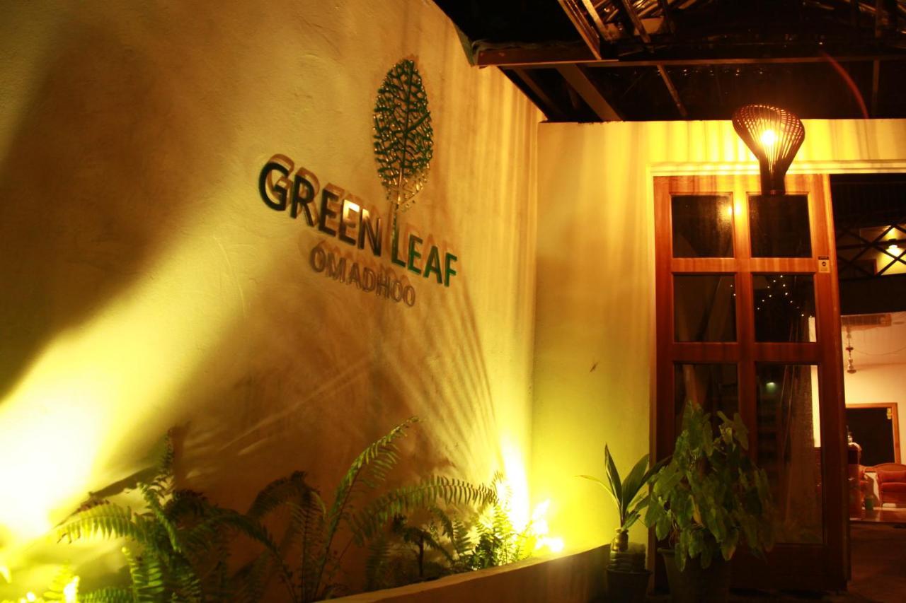 Green Leaf Guest House - Omadhoo Εξωτερικό φωτογραφία