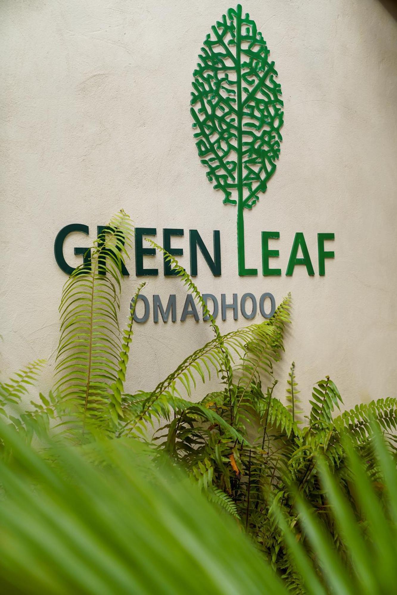 Green Leaf Guest House - Omadhoo Εξωτερικό φωτογραφία